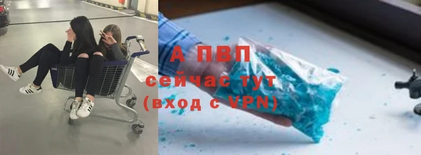 эйфоретик Каменногорск