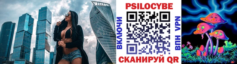 Галлюциногенные грибы Psilocybe  Лермонтов 